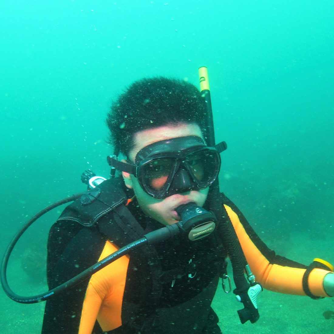 新横浜で今年こそダイバーになろう!|ジュニアダイバー誕生|横浜ダイビングショップ【セブン】 passport-diver