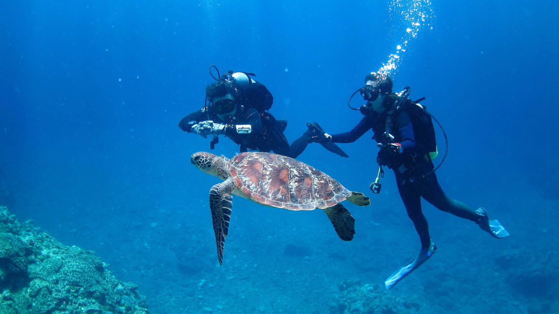 よくある質問|沖縄ダイビングツアーFAQ|横浜ダイビングスクール【セブン】 faq/okinawa-diving-tour