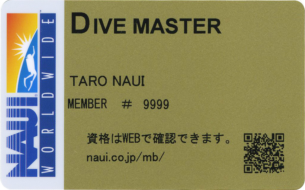 ダイブマスター | 横浜でＣカード取得│ダイビングショップ セブン