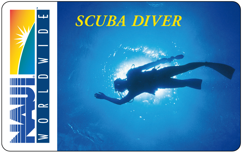 横浜でダイビングライセンス取得|NAUI スクーバダイバー|横浜ダイビングスクール【セブン】 scuba-diver-course-naui