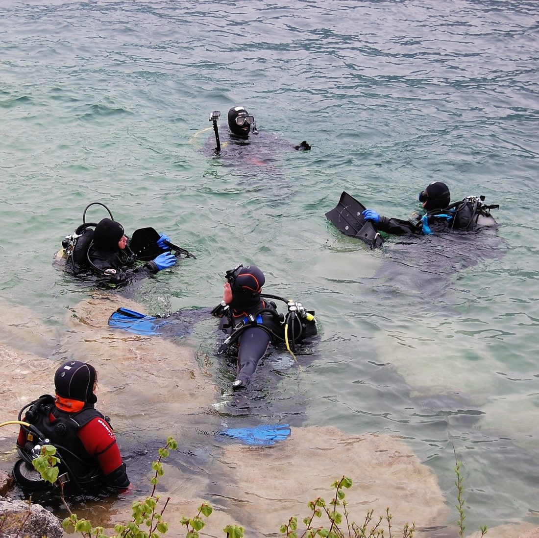 お互いの器材や水中での仕草を常にチェックしましょう。 scuba-diver-course-naui