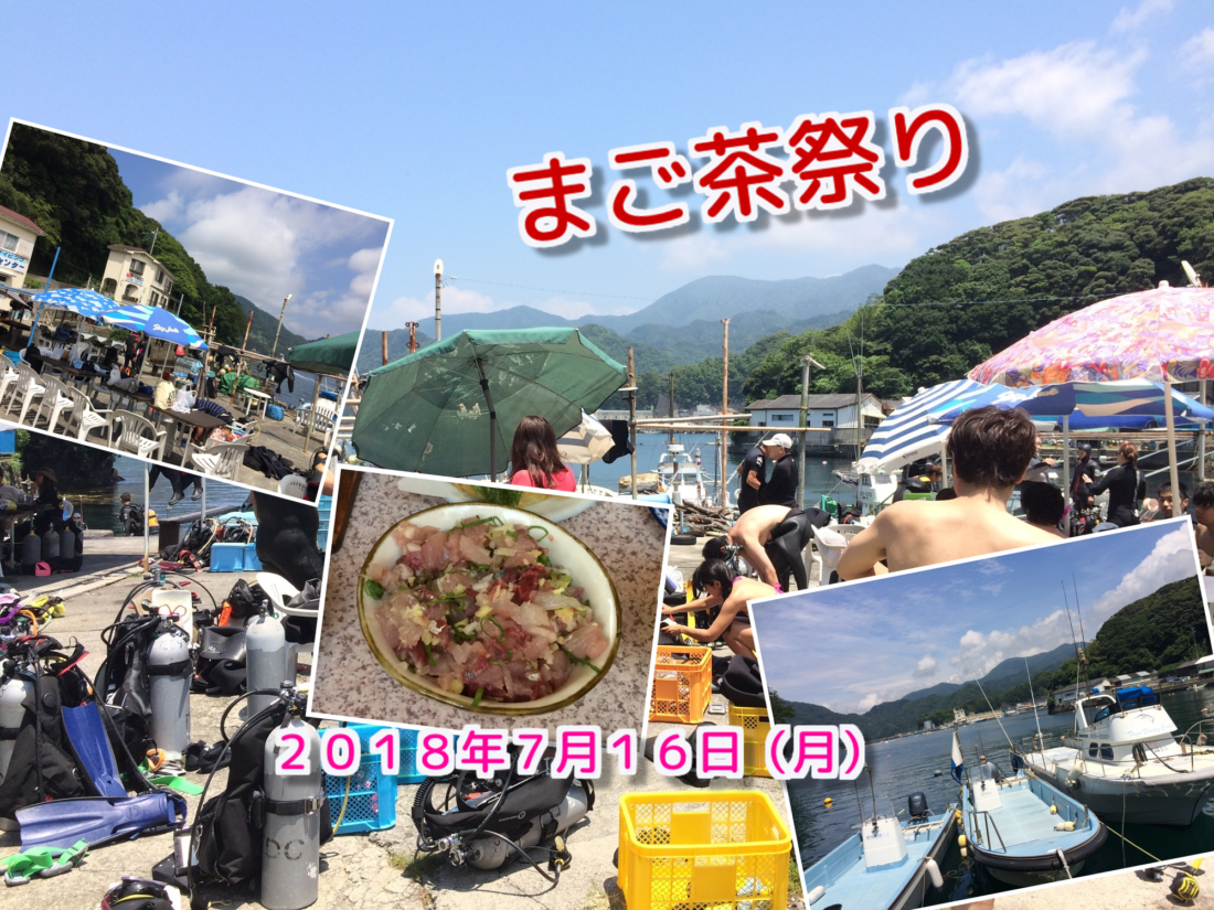 田子ボートダイビング|横浜ダイビングショップ セブン